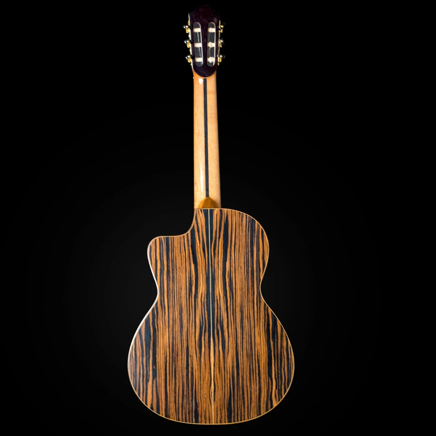 Luthier Shop, foto 2