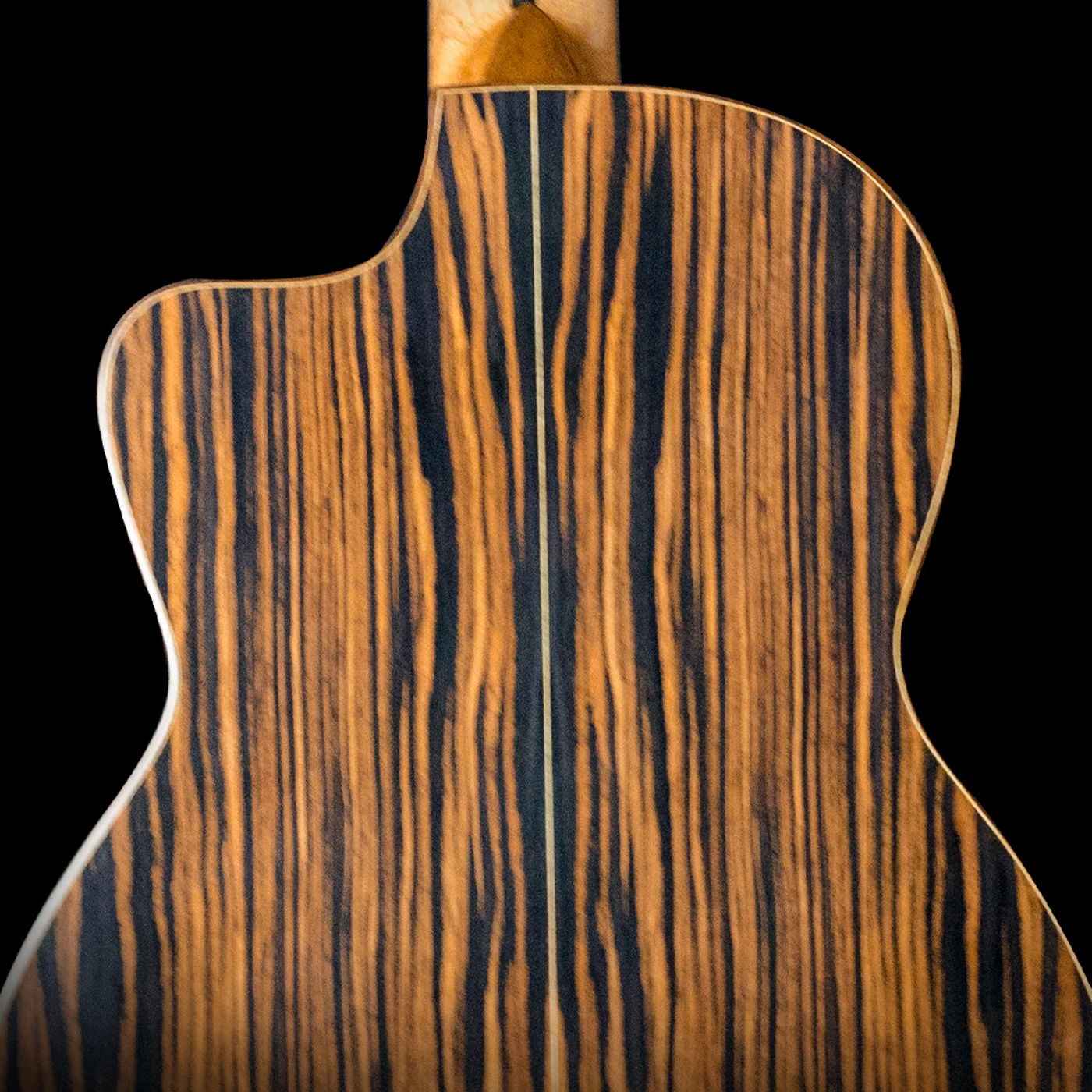 Luthier Shop, foto 4