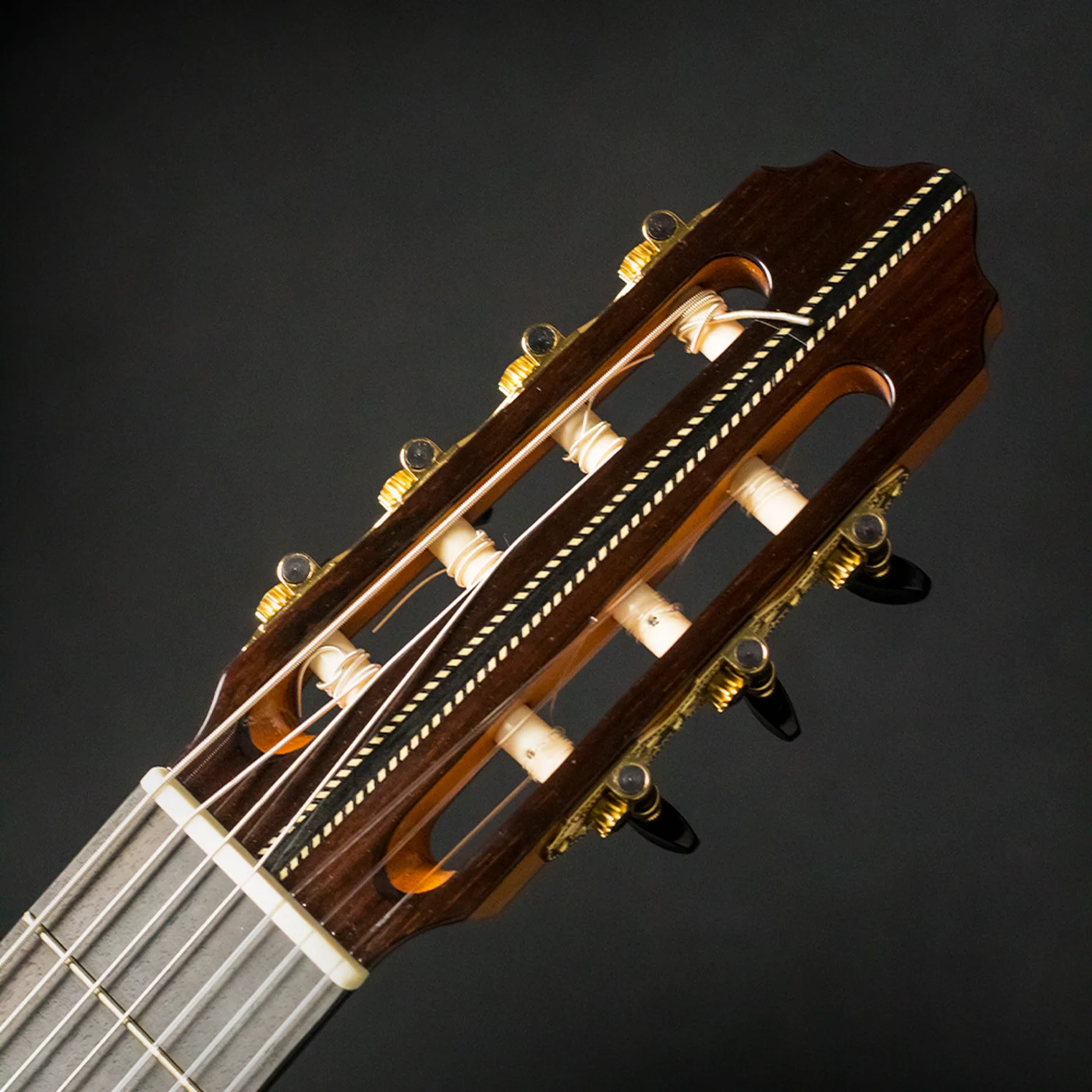 Luthier Shop, foto 8