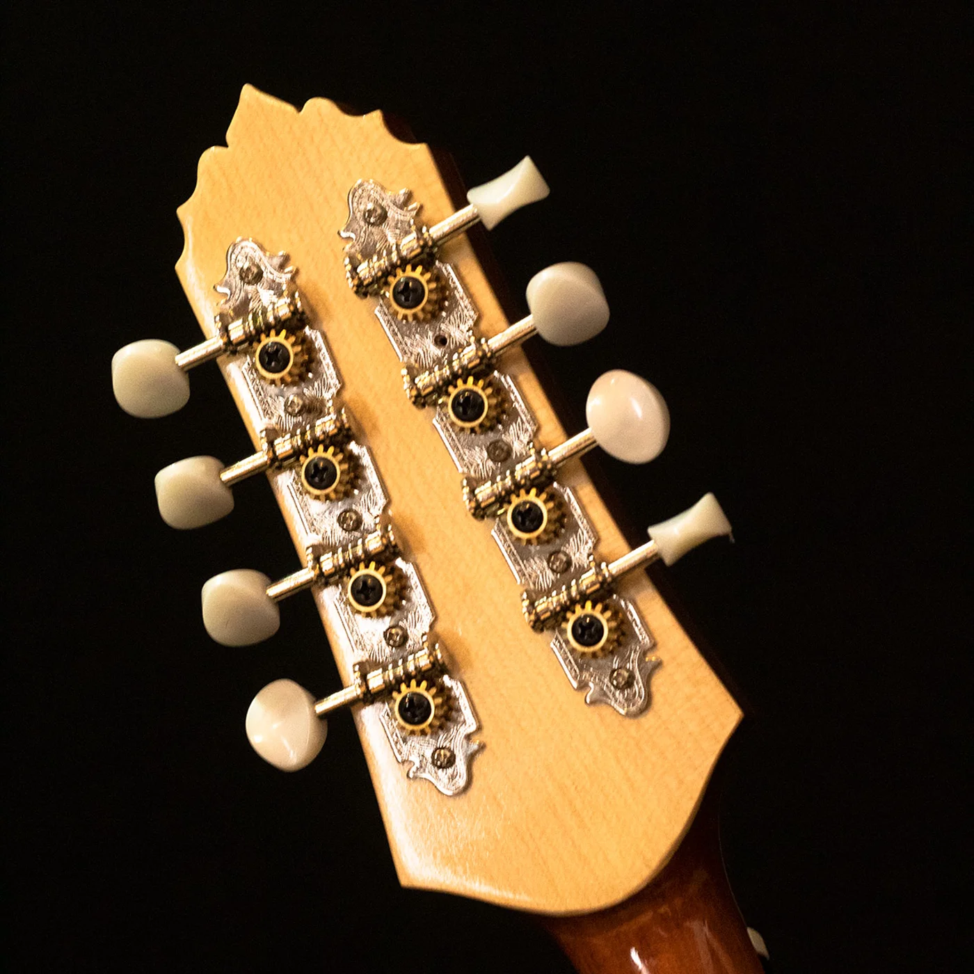 Luthier Shop, foto 12